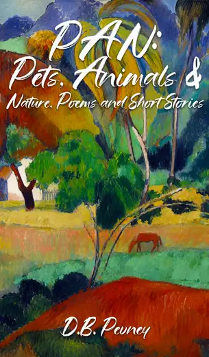 Books Covers